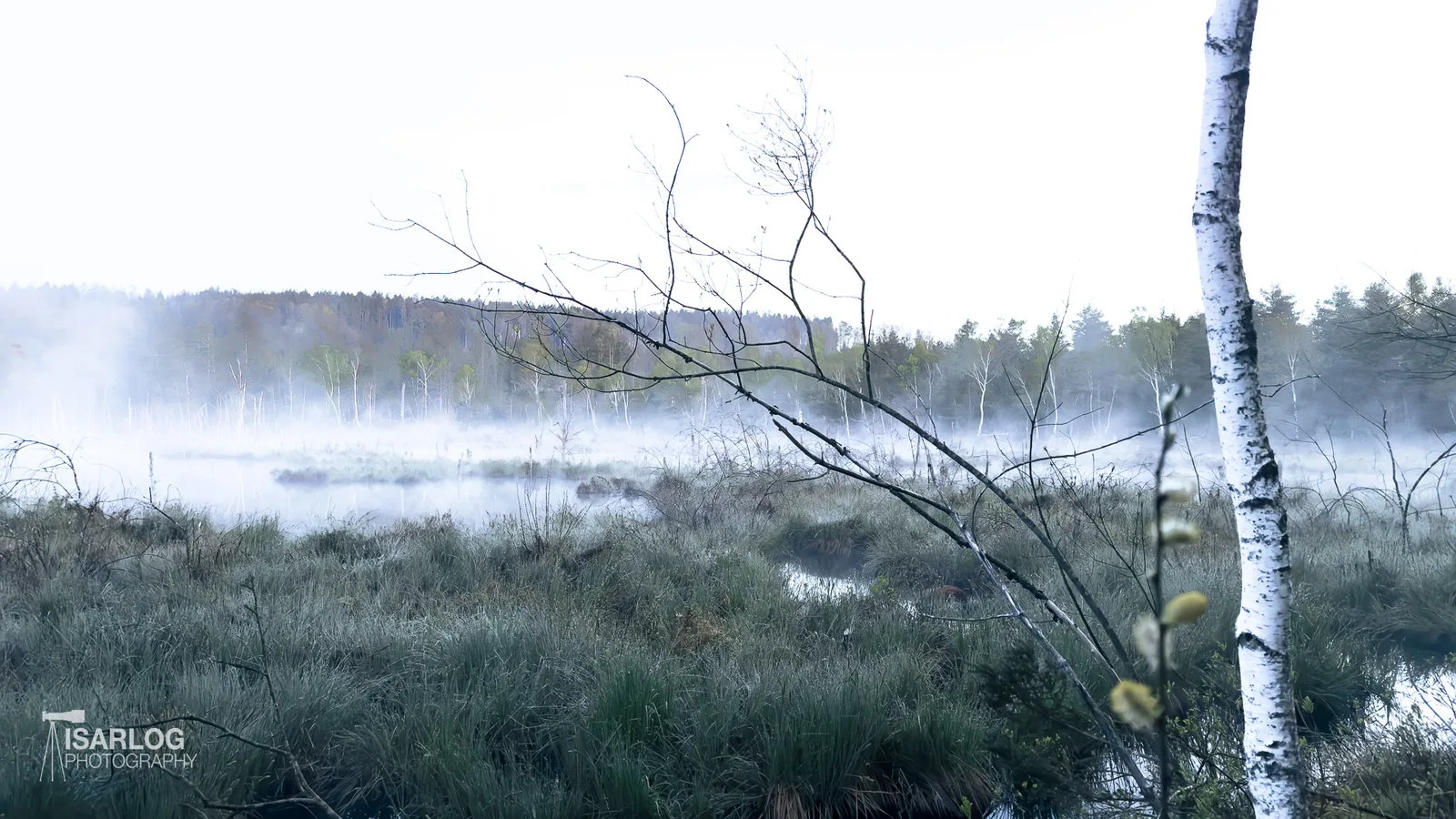 Moor & Moorlandschaft