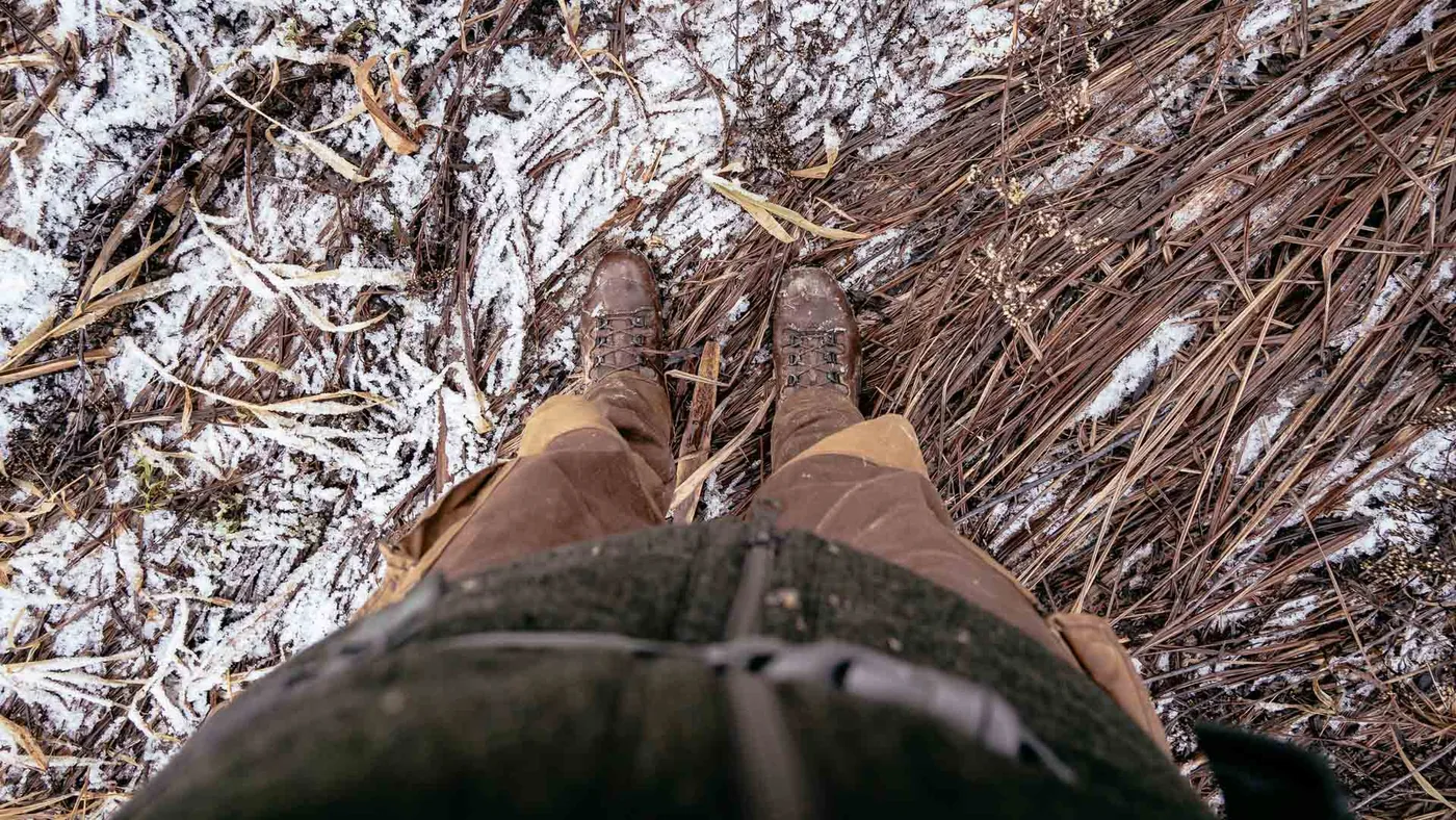 Fotografie in freier Natur – Wildtiere mit der Kamera im Blick